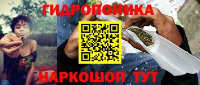 spice Лесосибирск