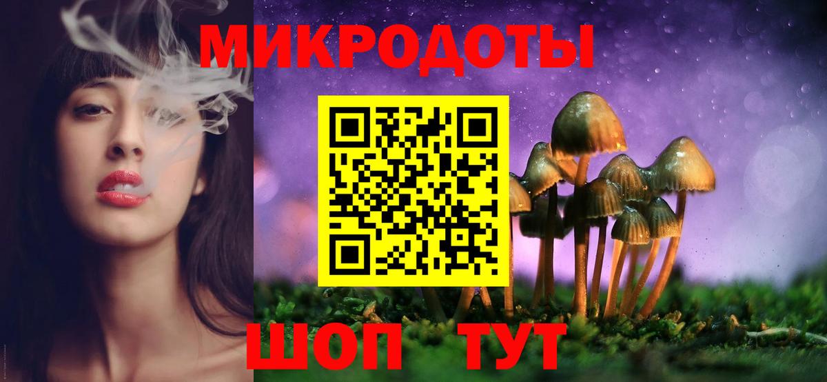 Галлюциногенные грибы Psilocybe  Вход с VPN  Камышин 