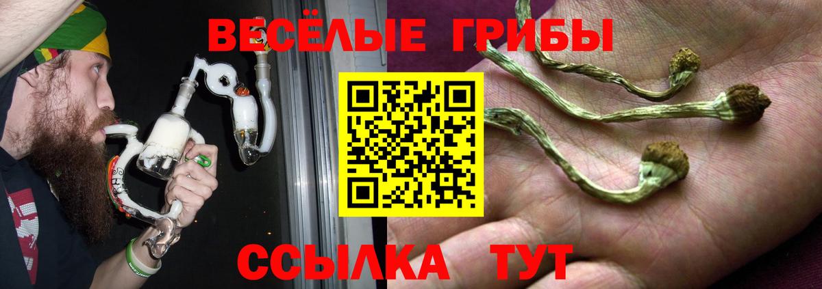 Галлюциногенные грибы Cubensis Камышин