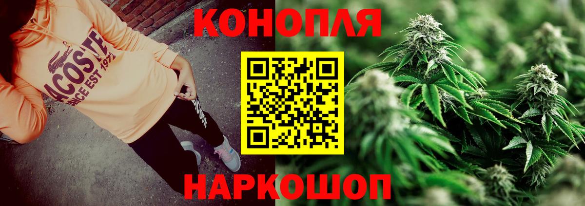 Камышин  Канабис сатива  МАРИХУАНА тримм  Вход с VPN  Бошки Шишки OG Kush 